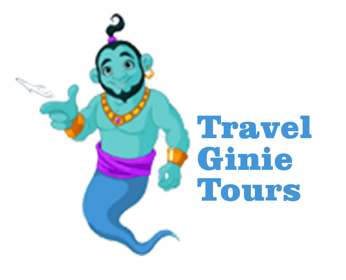 Travel Ginie & Tours